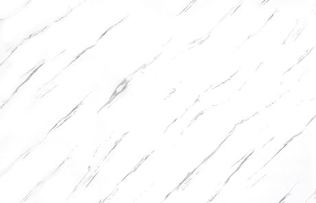 ARM244-31